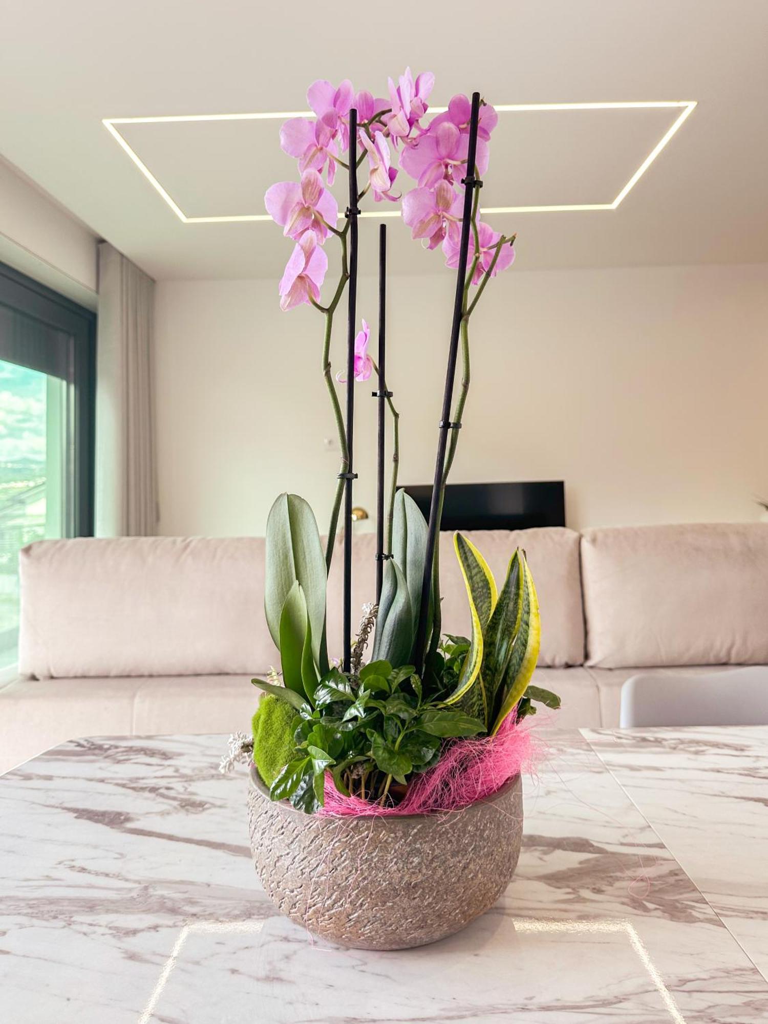 Apartment Flora Marco de Canaveses